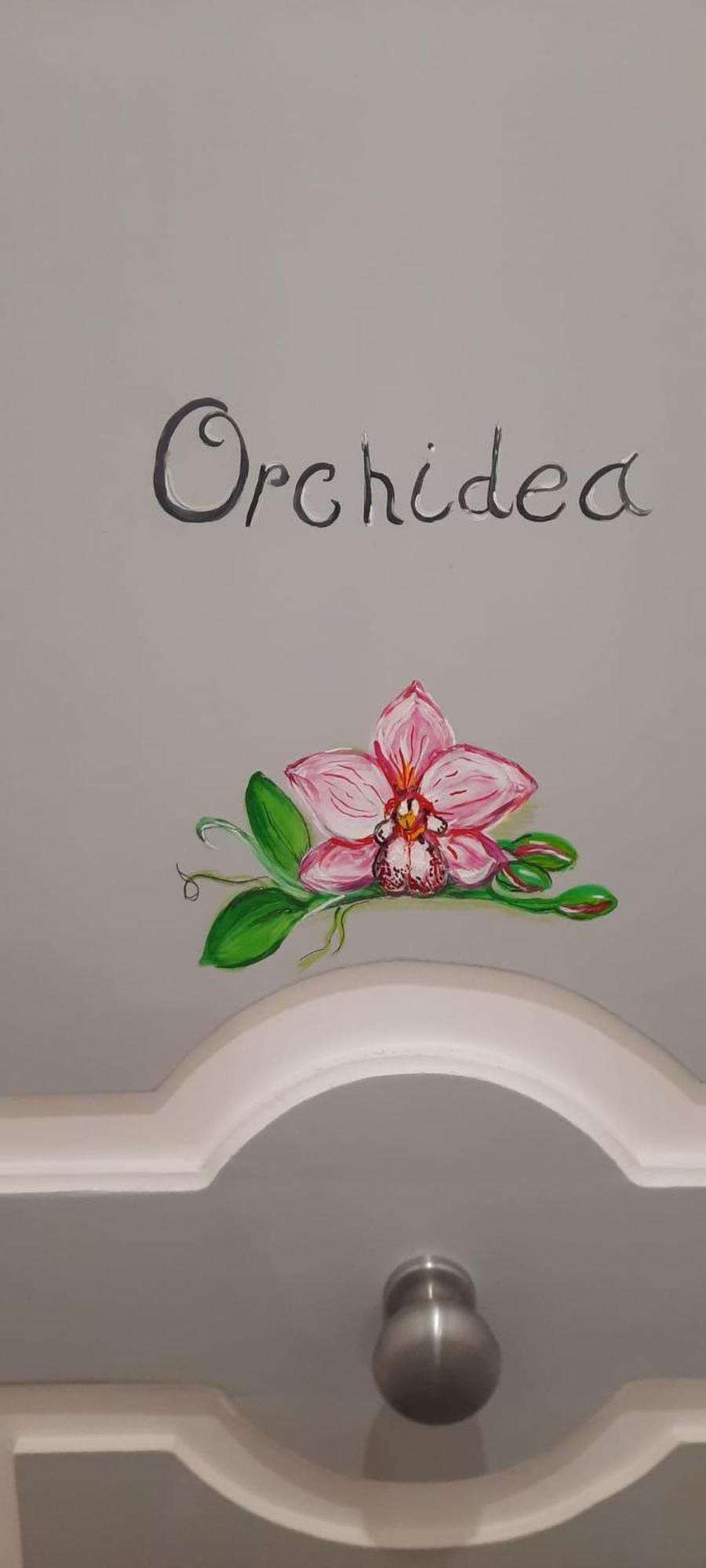 Residenza D'Epoca Tamara Lejlighedshotel Castellabate Eksteriør billede